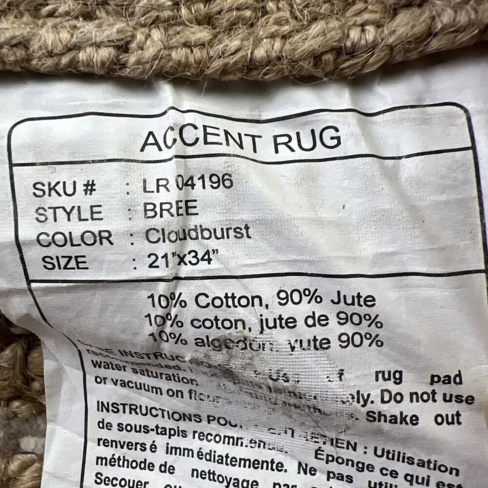 Accent Rug Bree Cloudburst 21
